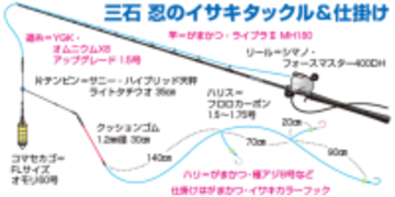 南房洲ノ崎沖のイサキ