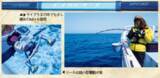 「南房洲ノ崎沖のイサキ」の画像2