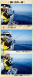 「南房洲ノ崎沖のイサキ」の画像3