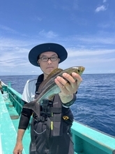 【釣果速報】シマアジ・イサキのヒットが連発！千葉県天の清栄丸の釣行でクーラーボックスを人気魚種でいっぱいにしよう！