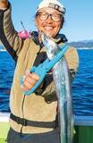 「相模湾のタチウオ」の画像12