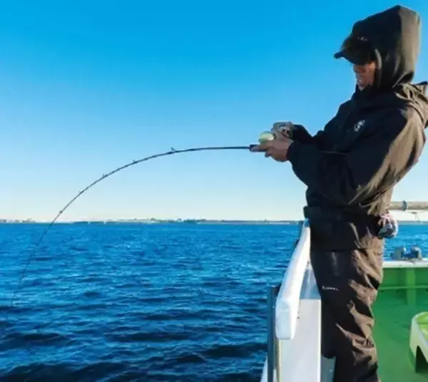 「相模湾のタチウオ」の画像