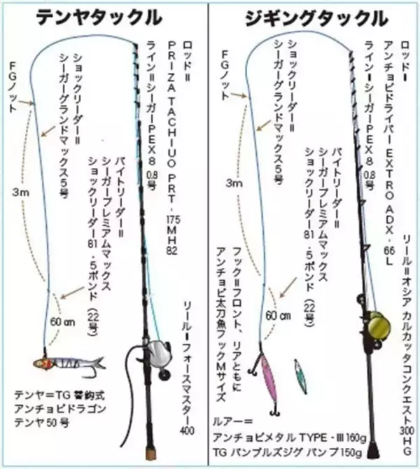 「相模湾のタチウオ」の画像
