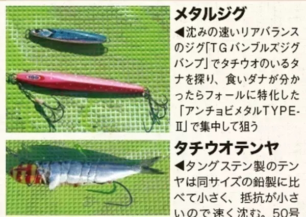 「相模湾のタチウオ」の画像