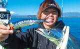 「相模湾のタチウオ」の画像6