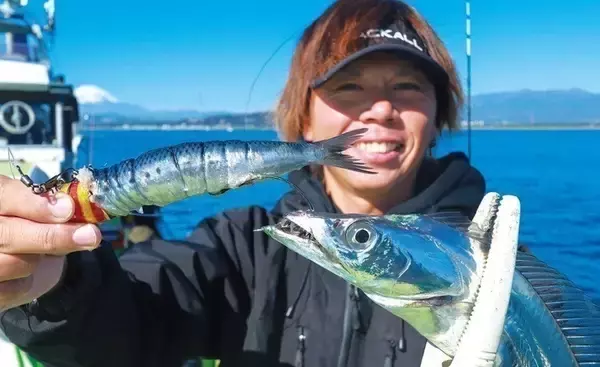 「相模湾のタチウオ」の画像