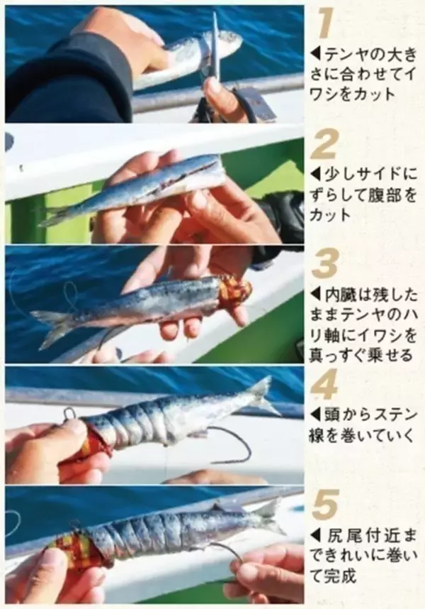 「相模湾のタチウオ」の画像