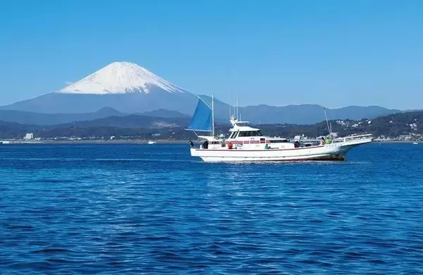 「相模湾のタチウオ」の画像