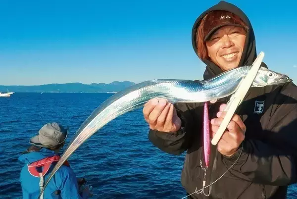 「相模湾のタチウオ」の画像