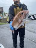 「【釣果速報】茨城県大春丸でマダイ・カサゴがテンポ良く上がる！人気魚種を狙うなら今がチャンス！」の画像1