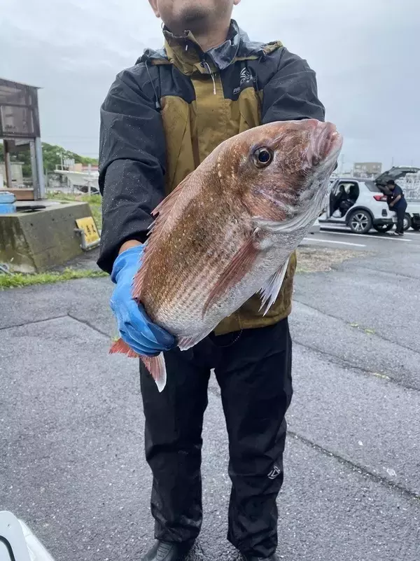 【釣果速報】茨城県大春丸でマダイ・カサゴがテンポ良く上がる！人気魚種を狙うなら今がチャンス！