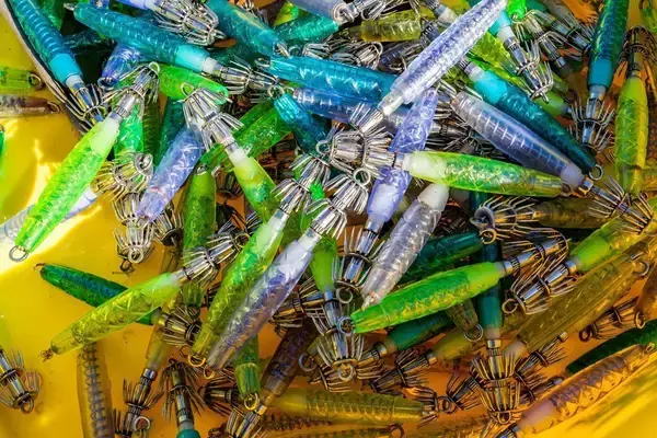 「新発想！イカ釣りで使う浮きスッテでイイダコが釣れる！？効果的なイイダコの釣り方をご紹介！」の画像