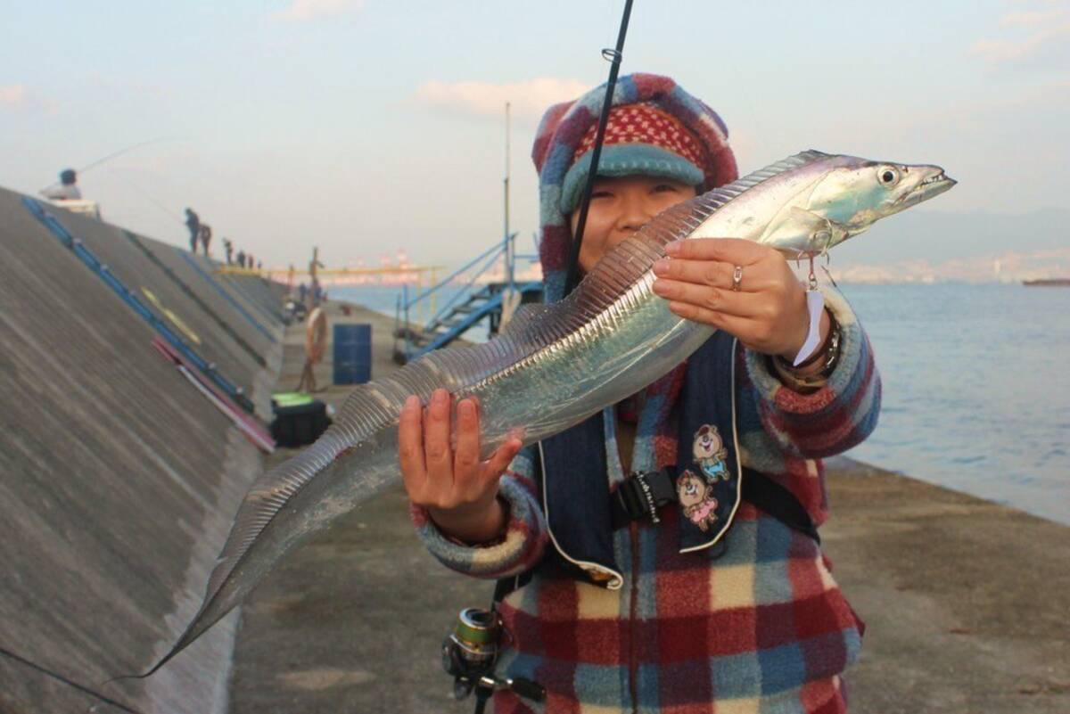 太刀魚が初心者でも釣れる 太刀魚釣りのコツ 仕掛けを大公開 17年12月7日 エキサイトニュース