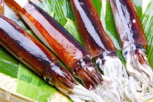 盛期突入の ケンサキイカ をおいしく食べる工夫 沖漬けは2度漬ける 年8月15日 エキサイトニュース 盛期突入の ケンサキイカ をおいしく食べる工夫 沖漬けは2度漬ける 年8月15日 エキサイトニュース