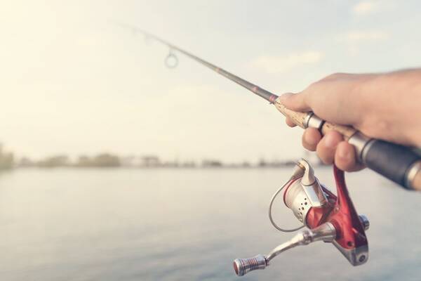 アカメは釣り人が一度はお目にかかりたい日本の怪魚 特徴や釣り方 保護問題は 18年8月6日 エキサイトニュース