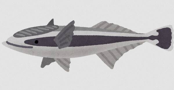 コバンザメってどんな魚なの 生態やかわいいイラスト 実食動画もチェック 年6月29日 エキサイトニュース