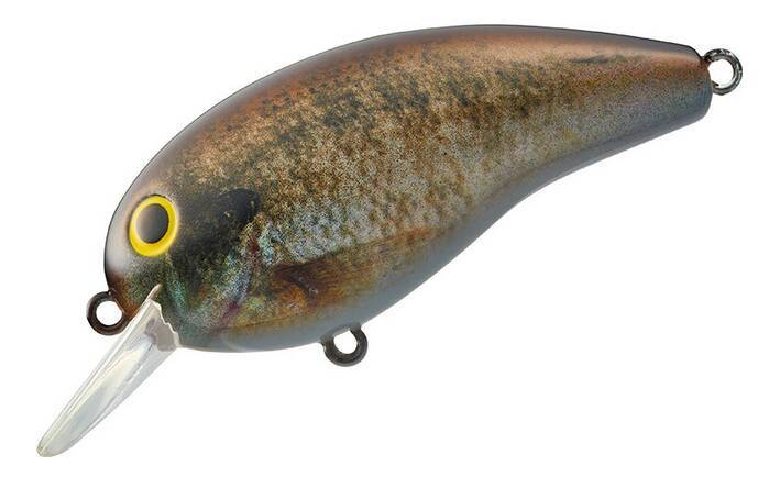 定番クランクベイトのデカピーナッツⅡに2021年新カラーが4種類追加ラインナップ！