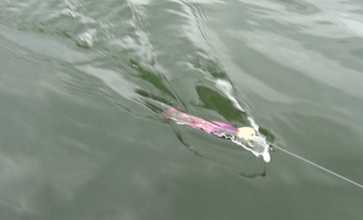 ライザーベイトでビッグフィッシュを釣りたい 実釣インプレやおすすめタックル特集 21年3月29日 エキサイトニュース