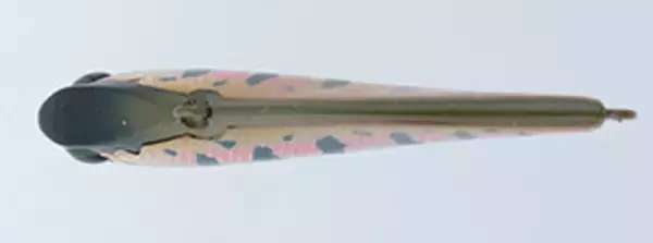 シルバークリークバイブ50Sは2021年新発売のネイティブトラウト用バイブレーションルアー！