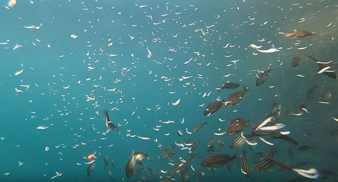 21アルテグラで釣りを楽しみたい 21年新発売のコスパ優秀なスピニングリール 21年2月5日 エキサイトニュース