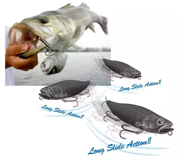 人気のメガドッグでシーバスを釣りたい！メガバスのソルトゲーム用  