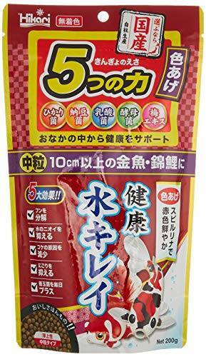 金魚の種類って見ただけでわかる？特徴や飼育してみたい種類をチェック