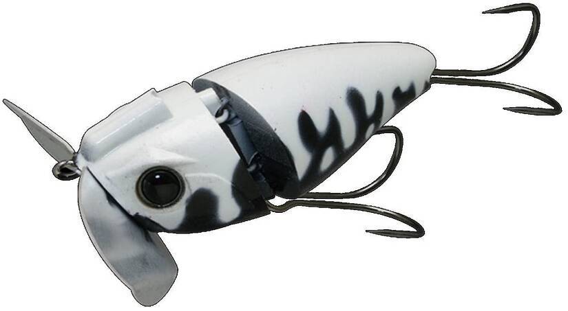 ノイジーってどんなルアーなの？特徴やおすすめルアーをピックアップ