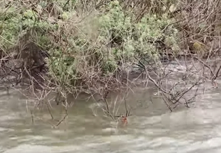 パワーフィネスでバスを釣りたい！釣り方やおすすめタックルをピックアップ