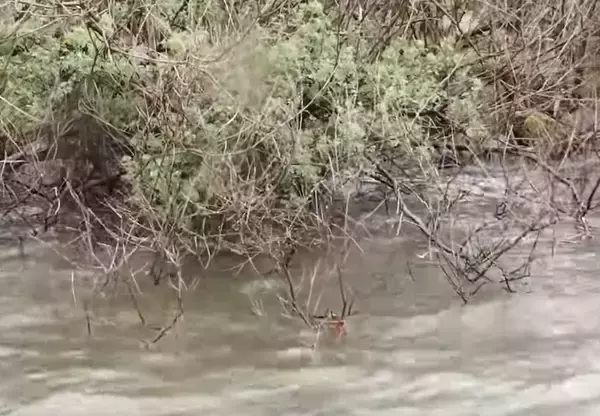 パワーフィネスでバスを釣りたい！釣り方やおすすめタックルをピックアップ