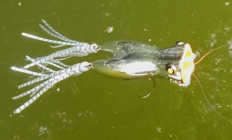 春のビッグバスをロペで釣りたい！使い方やおすすめタックルを徹底特集