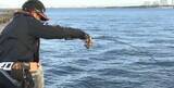 「ヘチ竿を使って大型チヌを釣りたい！特徴や使い方・おすすめアイテムをピックアップ」の画像4