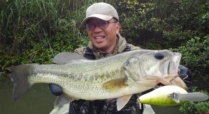 雨の多い梅雨の時期にバスを釣るにはどうすればいいの？おすすめルアー特集