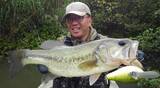 「雨の多い梅雨の時期にバスを釣るにはどうすればいいの？おすすめルアー特集」の画像3