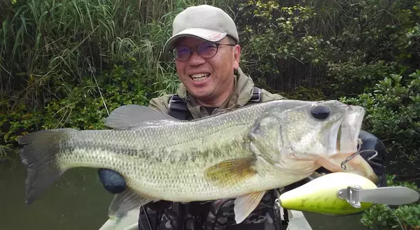 「雨の多い梅雨の時期にバスを釣るにはどうすればいいの？おすすめルアー特集」の画像