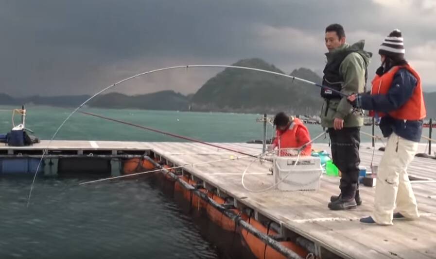 海上釣り堀 紀州で大型青物を釣りたい 釣れる魚やアクセス方法をチェック 21年7月5日 エキサイトニュース