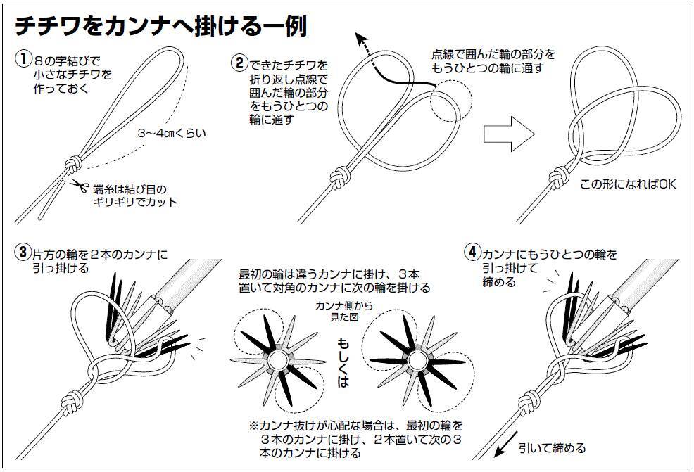 本領発揮の夏イカシーズン 直結仕掛けで乗せまくろう 21年7月7日 エキサイトニュース 3 6