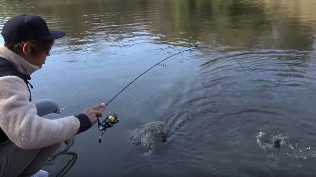フィッシュオン王禅寺でニジマスを釣りたい！料金や攻略法をチェック