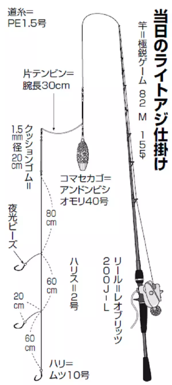 「はちきれそうな豊満ボディ！東京湾のライトアジ最高潮！～東京湾奥羽田大師橋際出船～」の画像