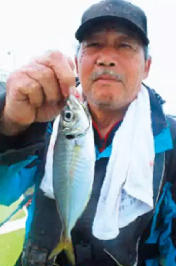 「はちきれそうな豊満ボディ！東京湾のライトアジ最高潮！～東京湾奥羽田大師橋際出船～」の画像