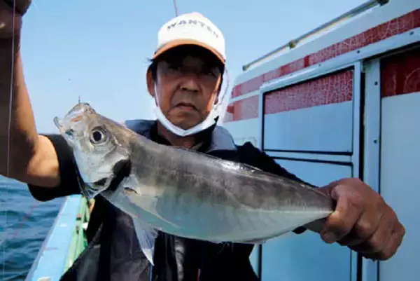 「日常を忘れてのんびりアジ釣り～三浦半島鴨居大室港・房丸の高橋正船長～」の画像