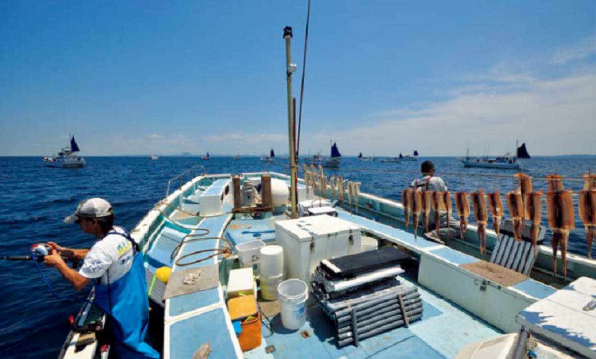 夏のイカ釣りステップアップ講座 日中のムギ スルメと夜ムギイカ 21年7月16日 エキサイトニュース