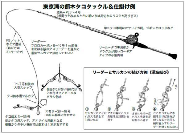 餌木タコわっしょい 今年の湾奥は千葉がアツい 夏の小ダコ祭り絶賛開催中 21年7月18日 エキサイトニュース