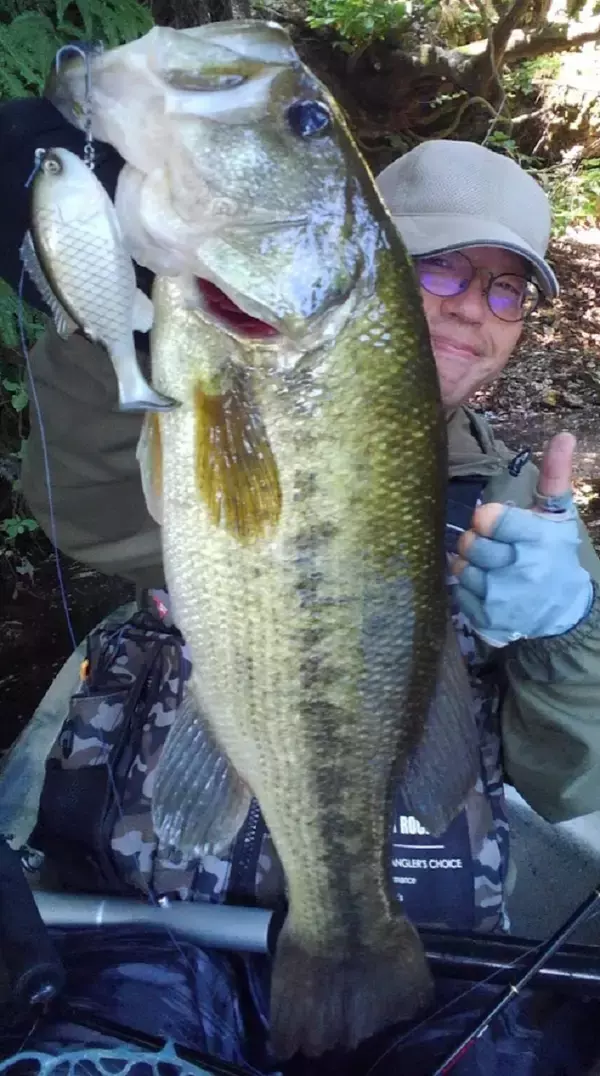 「ユニオンギルスイマー95最速インプレ！2021年新発売のフローティングスイムベイト」の画像