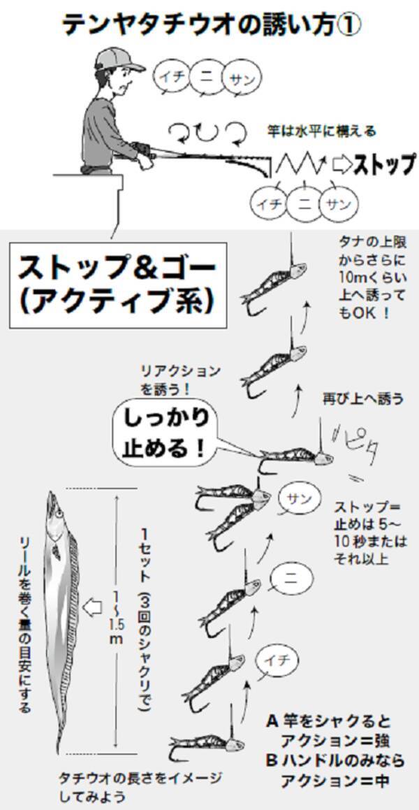 一から始めるテンタチ入門 東京湾にいよいよ来襲 テンタチ快進撃 後編 21年8月5日 エキサイトニュース