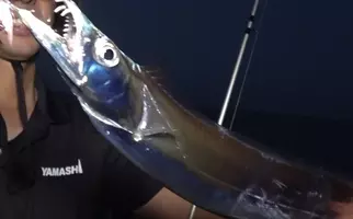 イイダコ釣りにチャレンジしたい 堤防から釣るコツを詳しく解説 21年8月3日 エキサイトニュース