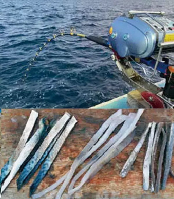 「【石廊崎沖のキンメ快調！】気軽にフルレンタル、本格深場釣り入門にもおすすめ！」の画像