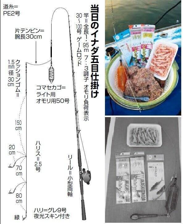 パワフルな引きがたまらない 相模湾のワカシ イナダ活況 21年8月18日 エキサイトニュース 3 4