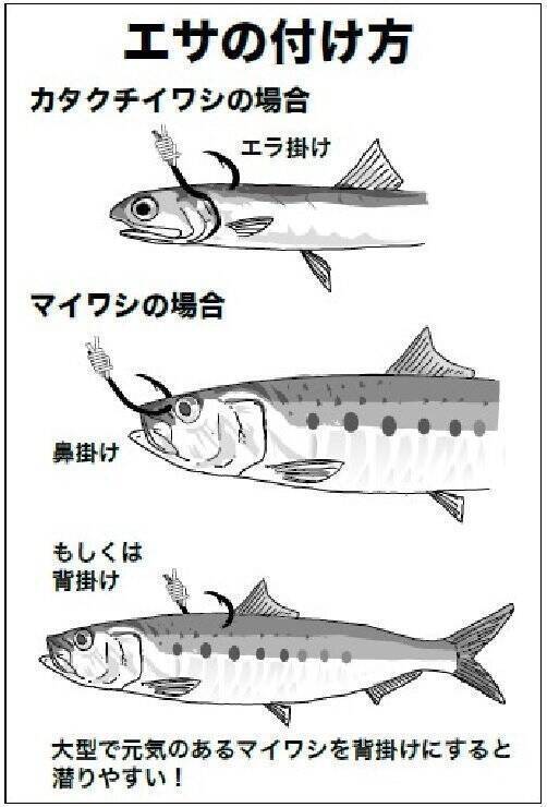 コマセ釣り イワシエサ キハダ カツオ必釣ガイド 後編 21年8月27日 エキサイトニュース 4 7