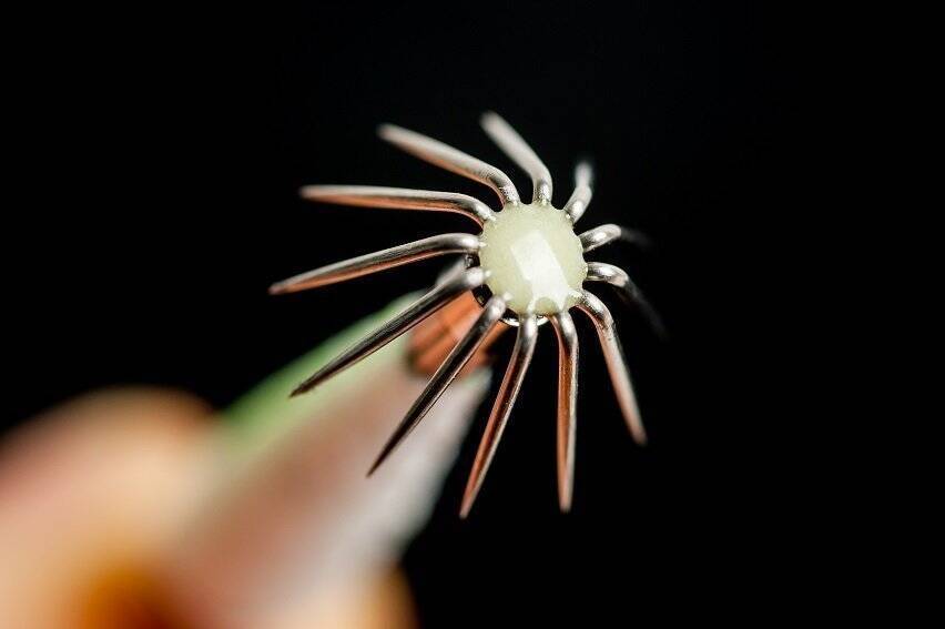 日本海の剣先イカをイカメタルで楽しむ。大剣が好調な香住沖の剣先イカ。ボトムからの誘い上げで数、型ともに満足の釣果。