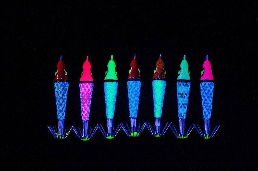 日本海の剣先イカをイカメタルで楽しむ。大剣が好調な香住沖の剣先イカ。ボトムからの誘い上げで数、型ともに満足の釣果。